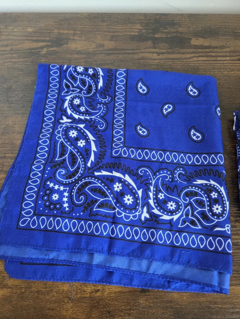 Set Of 2 Blue Bandanas Paisley Western Rodeo Cowgirl Southwestern Scarf Necktie